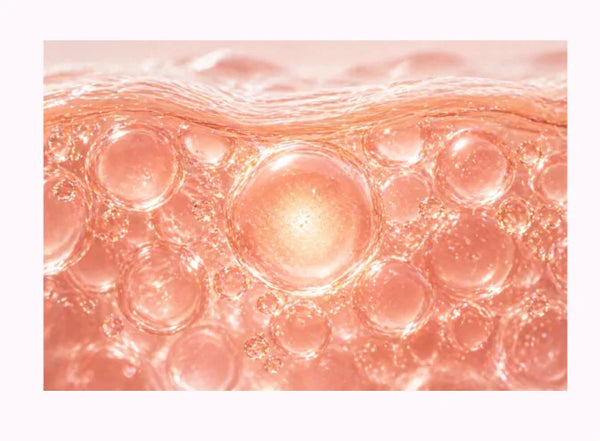 200 Dalton Collagen